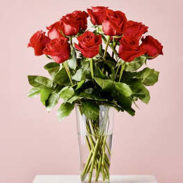 Classic long stemmed red roses