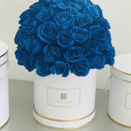Blue Roses in a Cylinder White Box