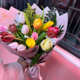 Handheld bouquet of multicolored tulips wrapped in pink paper