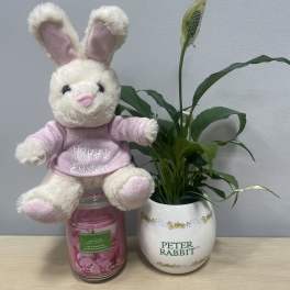 Easter Bunny Planter Trio