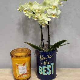 Best Yellow Orchid & Candle