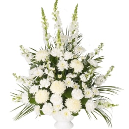 SERENITY TRADITIONAL FUNERAL ARRANGEMENT