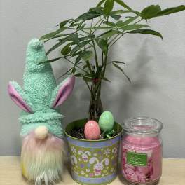 Easter Gnome & Money Tree Trio