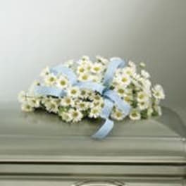 Precious Baby Boy "Infant Casket Spray With Daisies"
