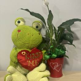 Kiss Me Frog & Hearts Planter