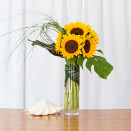 Tall glass vase of bright sunflowers with a large tropical leaf and looping grass beside a white seashell.