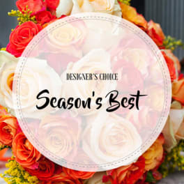 Season's Best