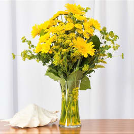 Tall bouquet of yellow gerbera daisies in a clear glass vase beside a white seashell.