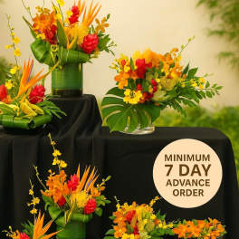 Collection of tropical orange, yellow, and red flower arrangements in green and black containers on black fabric.