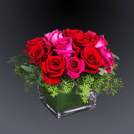 Sparks Fly by BloomNation™