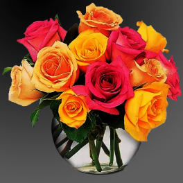 Multi-Colored Roses