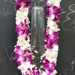 Leis for Congrat!