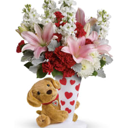 Send a Hug You're Fur Me by Teleflora PM