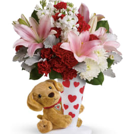Send a Hug You're Fur Me by Teleflora DX