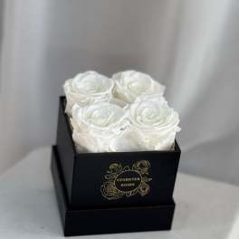 Forever Roses White