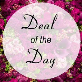 Pink floral wall with a circular sign reading "Deal of the Day"