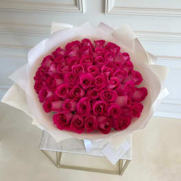 MFS Hot Pink 50 Rose Bouquet