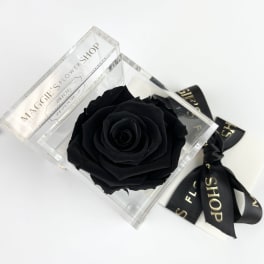 Single Velvet Black Eternity Rose (Acrylic Collection)