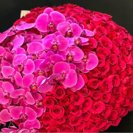 200 red roses with orchids