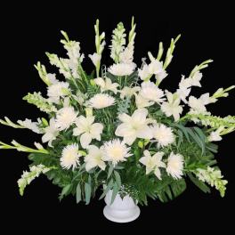 White Hope Arrangement