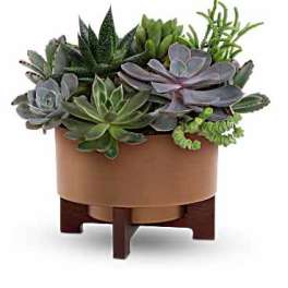 Copper Succulent Garden