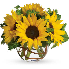 Sunny Sunflower Globe