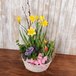 Basket of yellow daffodils, purple flowers, and red tulips with a pink striped bow