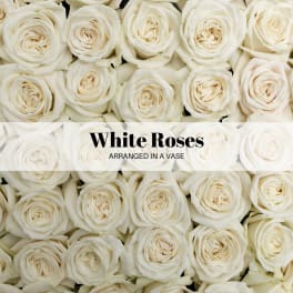 Longstem White Roses Vased