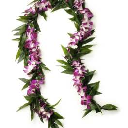 Open-style Maile + Orhcid Lei (purple)