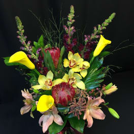 Cymbidium Orchid Protea Botanical Mix