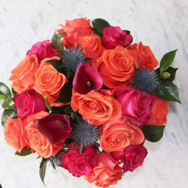 Round bouquet of bright orange and hot pink roses with dark purple calla lilies and blue thistle blooms.