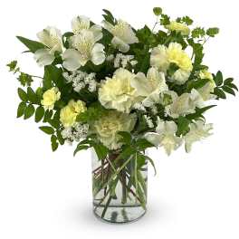 [FRESH FLOWER]Pet Friendly Angel Wings Bouquet