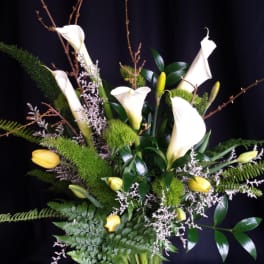 Winter fern and bulb arrangement