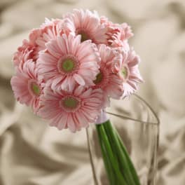 FTD Daisy Delight Bouquet