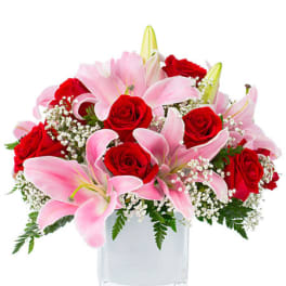 Low pink lily and red rose arrangement with white filler flowers in a square white glass vase