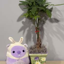 Money Tree & Easter Stuffie