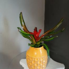 Blushing bromeliad (yellow pot)