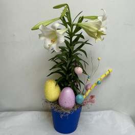 Potted white lily plant in a blue container with colorful decorative Easter eggs.