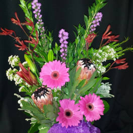 Kangaroo paw and protea daisy mix