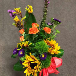 Kangaroo paw bright mix with sunflowers