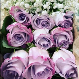 12 long stem Lavender Roses in a box