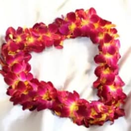 Pink and yellow orchid lei arranged in a heart shape on white fabric