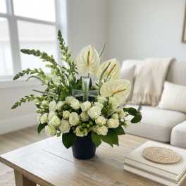 Purity (all white)