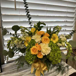 GOLDEN GARDEN RADIANCE 