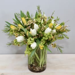 Arrangement of white and yellow tulips with green blooms in a clear glass vase with stones