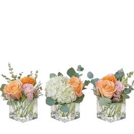 Three small floral arrangements in clear square vases with roses and hydrangeas