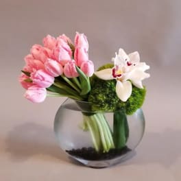 Round glass vase with pink fringe tulips, white orchids, and green pom-style blooms.