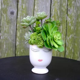 Succulent arrangement in a white face vase