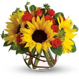 Sunflowers and red roses arranged in a clear glass vase