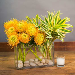 Orange pincushion flowers in a glass vase with striped foliage and stones